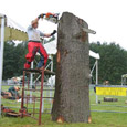 chainsaw wood carving