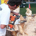 chainsaw sculptors