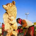 chainsaw carving competition