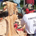 professional chainsaw artists