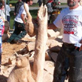 chainsaw carving