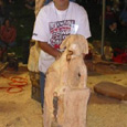 chainsaw carving competition