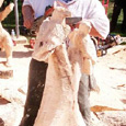 professional chainsaw artists