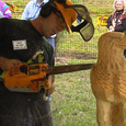 Masters of the Chainsaw