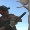 chainsaw carving masters